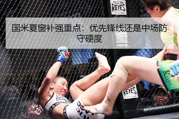 国米夏窗补强重点:优先锋线还是中场防守硬度
